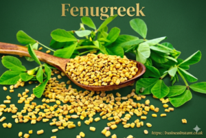 Fenugreek